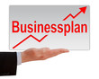 Businessplan