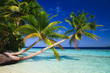 Tropical Paradise at Maldives