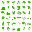 vectorial trees in summer