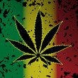 Cannabis-Marihuana