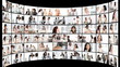 Montage of confident business people at work