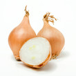 Shallot Line Up Shallot Line Up