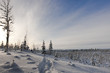 Spuren im Schnee