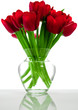 rote tulpen