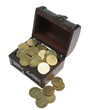 Opened small chest with gold coins