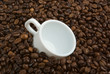 Coffeecup in coffeebean's heap