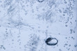 prickelndes Mineralwasser