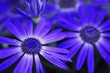 Deep blue