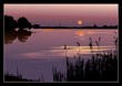 A beautiful sunset on the river. Vector art-illustration.