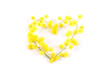 Cuore Mimosa