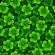 Clover background. Seamless vector.