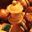 Schach dem König