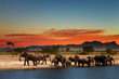 Photo: Herd of elephants in african savanna Herd of elephants in african savanna
