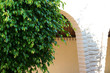 Italian court yard
