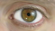 Pupil and Eyelashes close up