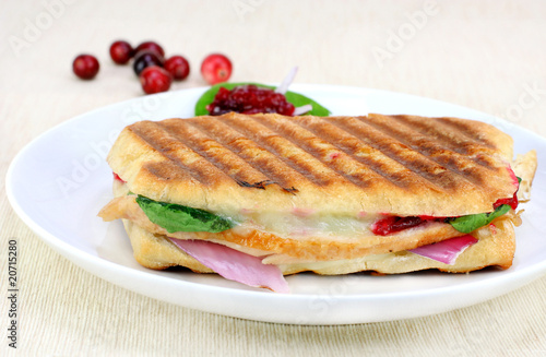 Photo: Delicous Panini of fresh turkey, spinach, melted cheese and cran Delicous Panini of fresh turkey, spinach, melted cheese and cran