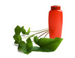bottle of shampooand green leaves