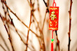 decorative firecracker with  gingko branch  in chinese new year