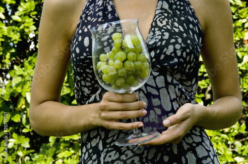 Photo: Torso of young woman in vineyard with a wineglass of white grapes Torso of young woman in vineyard with a wineglass of white grapes