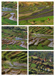 Rizières malgaches Rizières malgaches