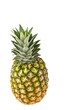 Photo: Pineapple on White Background Pineapple on White Background
