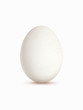oeuf blanc, fond blanc vertical