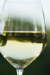 Glass of white wine in vineyard