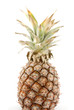 Pineapple isolated on white
