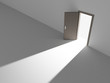 Open door into the light Open door into the light