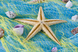 Starfish