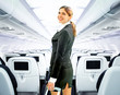 flight attendant flight attendant