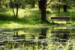 Bank im grünen an einem Teich Bank im grünen an einem Teich