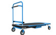Platform trolley