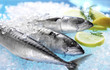 Fisch