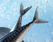 Fisch