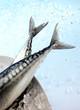 Fisch