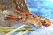 Fisch