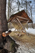 animals feeder animals feeder