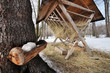 animals feeder animals feeder