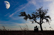 Allein stehender Baum
