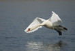 Landeanflug