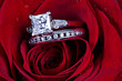 Set of Wedding Rings in Rose