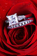 Set of Wedding Rings in Rose