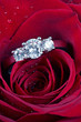 White gold diamond ring in rose