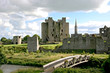 Photo: Trim Castle Trim Castle