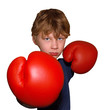 Foto: Boxer Boxer