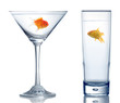 Photo: two different goldfish in two different glass two different goldfish in two different glass