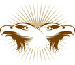 eagle1