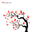 Butterfly Background Butterfly Background
