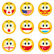 National Smileys Flaggen D